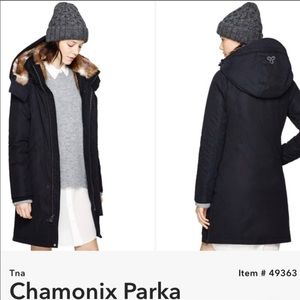 Aritzia TNA Chamonix Parka